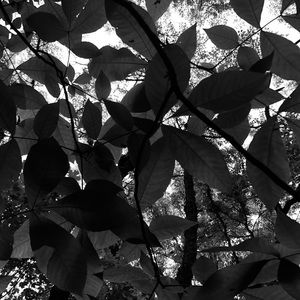 Meet your Posher, Kyndra